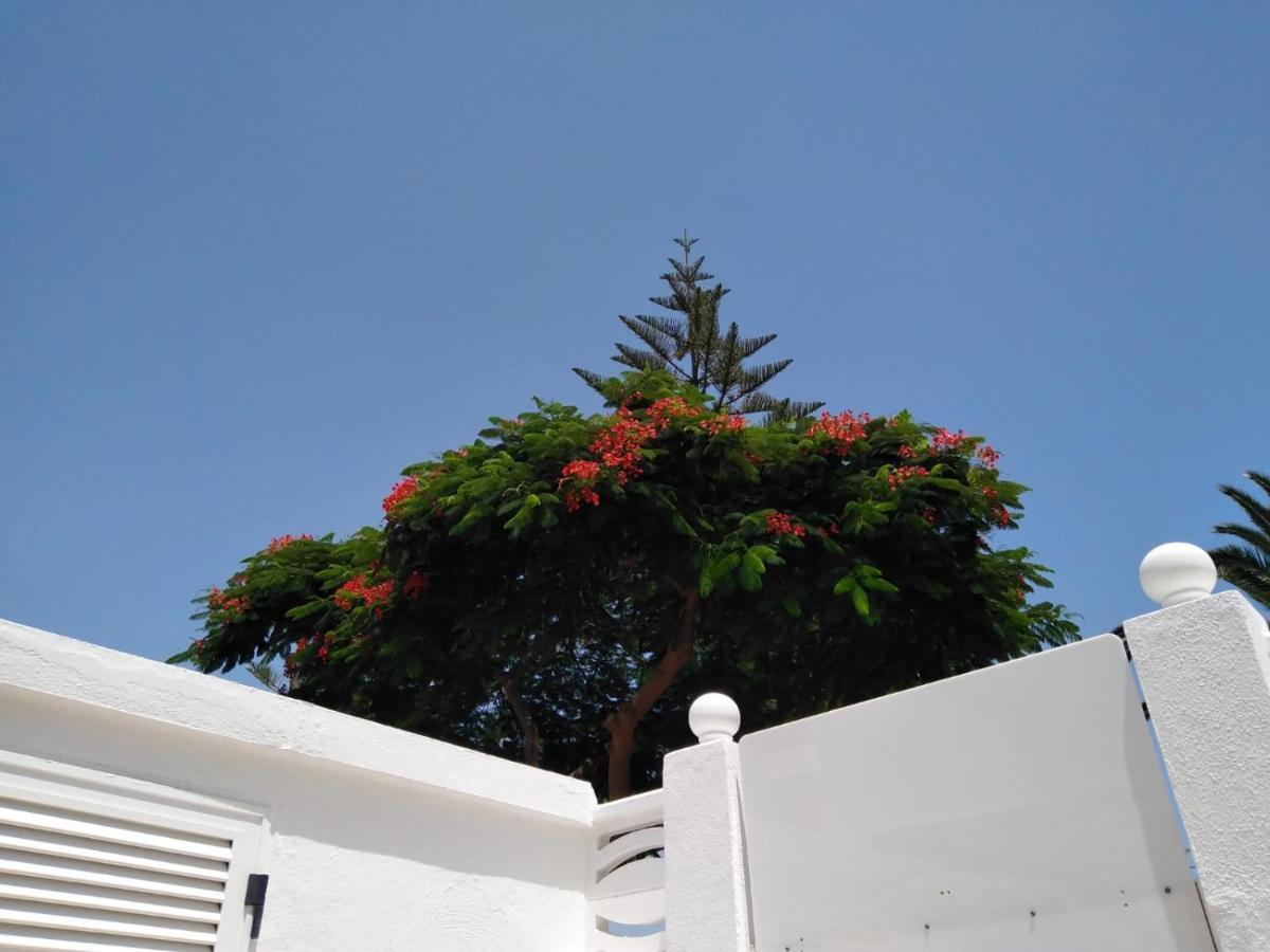 House Lilu - luminoso monolocale Apartment Arona  Exterior foto
